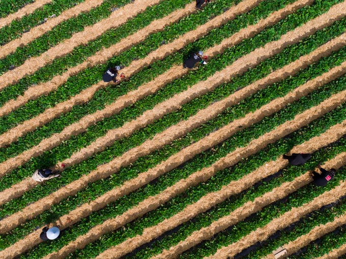 Bring your Campervan!