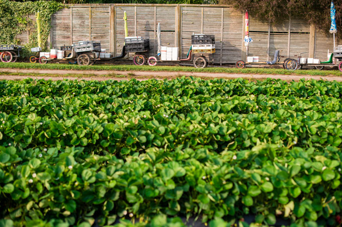 Let us know you're coming