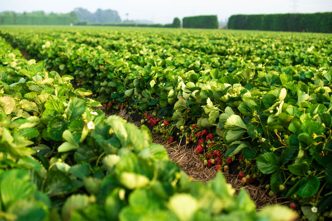 Check out our Speakers