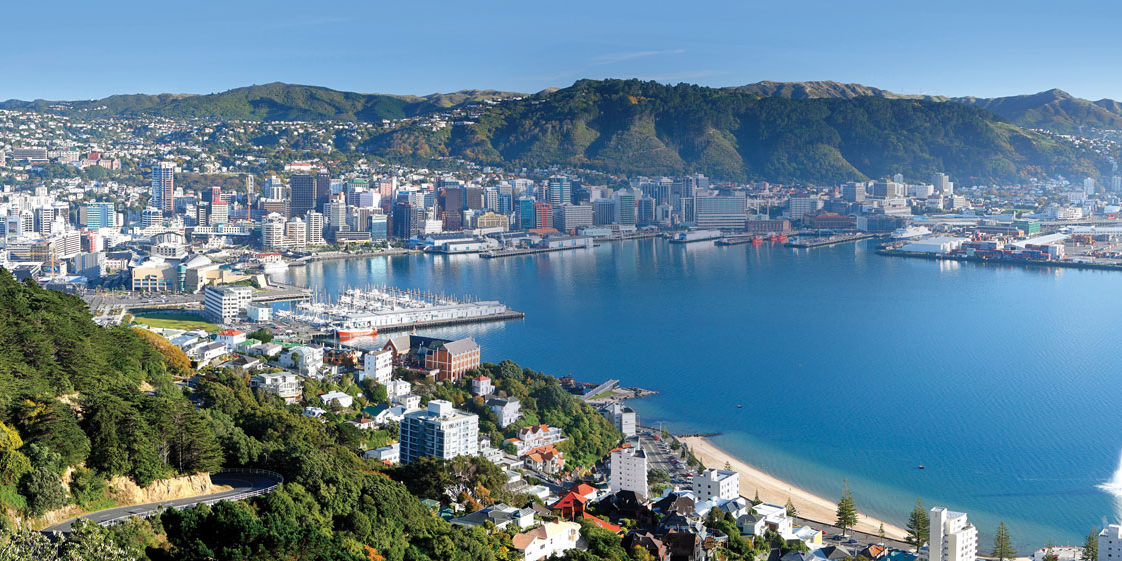 wellington1-panorama